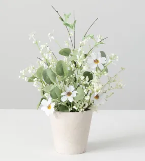 Daisy and Eucalyptus Pot