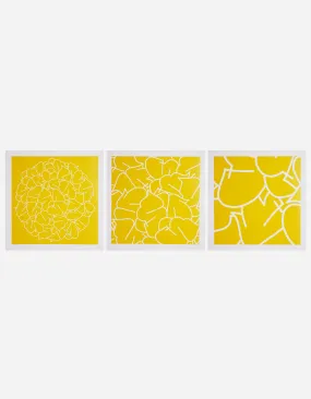 Teach YE-90, 91 & 92 Triptych Yellow